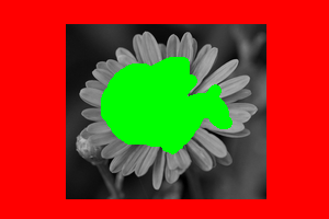 ./TP3/Images/flower-small-seeds3.png