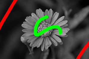 ./TP3/Images/flower-small-seeds1.png