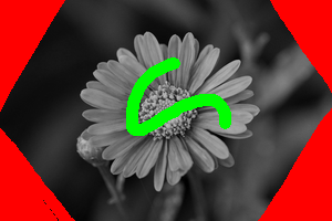 ./TP3/Images/flower-small-seeds2.png